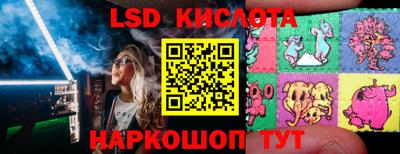 ГАЛЛЮЦИНОГЕННЫЕ ГРИБЫ Новозыбков