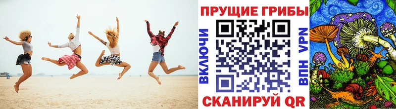Псилоцибиновые грибы мицелий Шадринск