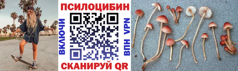 Псилоцибиновые грибы Psilocybe гидра ТОР Шадринск что такое