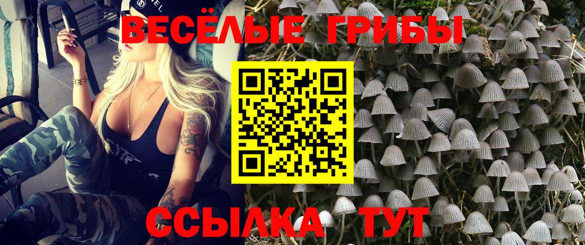 Псилоцибиновые грибы Psilocybine cubensis  Вход с VPN  Шадринск 