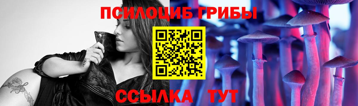 Псилоцибиновые грибы Psilocybe Шадринск
